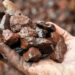 Researchers Advocate for Iron as a Replacement for Cobalt and Nickel in Next-Gen Lithium-Ion Batteries, Offering More Sustainability and Lower Cost