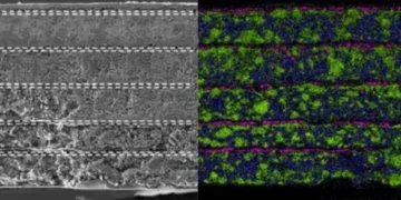 Photo credit to Business Wire