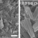 UNIST-KIST Develop High-Crystallinity Organic Anode for Lithium-Ion Batteries (Photo copyright to UNIST-KIST Research Team)