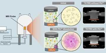 Breakthrough Research from Tohoku University Enhances Lithium-Ion Battery Longevity Advancing Battery Science with MRI Technology( Photo copyright to Hellar et al.)