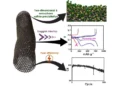 Platinum-Enhanced Lithium-Sulfur Batteries Could Extend Electric Vehicle Range (Photo copyright to Bilal El-Zahab team)