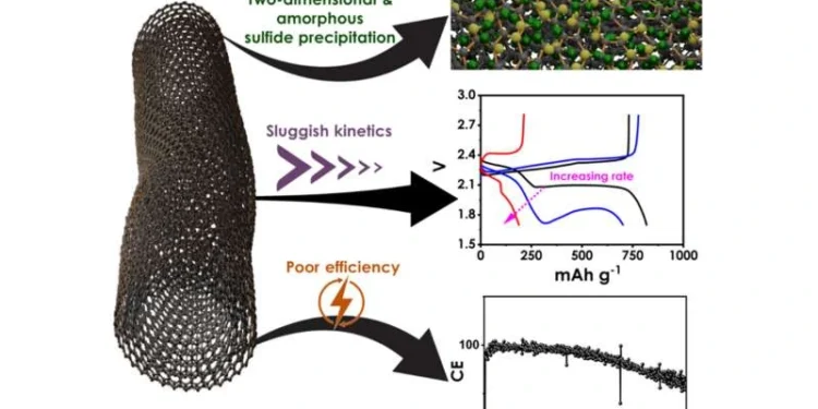 Platinum-Enhanced Lithium-Sulfur Batteries Could Extend Electric Vehicle Range (Photo copyright to Bilal El-Zahab team)